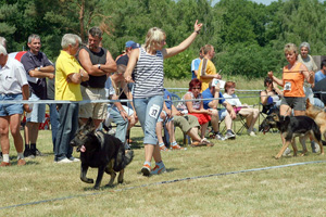 Mosigkau07-1kl_s Mosigkau07-1kl_s