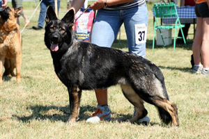 Mosigkau07-2kl_s Mosigkau07-2kl_s