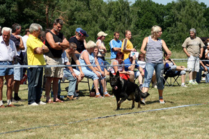 Mosigkau07kl_s Mosigkau07kl_s