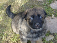 R-Wurf_060404c_s R-Wurf_060404c_s