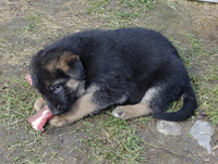 R-Wurf_060404e_s R-Wurf_060404e_s