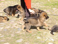 R-Wurf_060409b_s R-Wurf_060409b_s