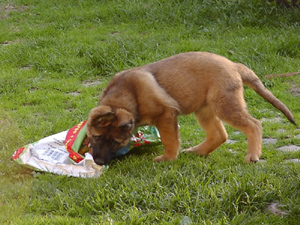 R-Wurf_060510b_s R-Wurf_060510b_s