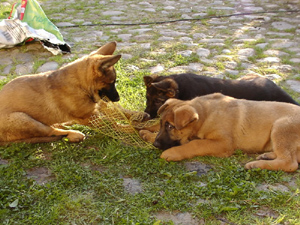 R-Wurf_060510g_s R-Wurf_060510g_s