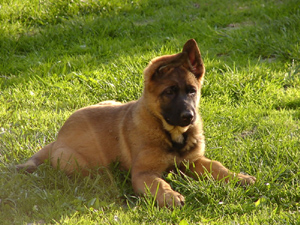 R-Wurf_060510h_s R-Wurf_060510h_s