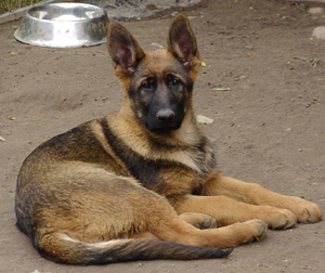 R-Wurf_060604_s R-Wurf_060604_s