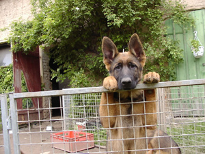 R-Wurf_060604c_s R-Wurf_060604c_s