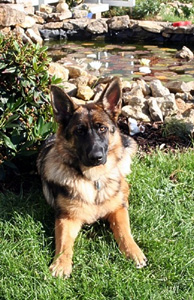 Roxette20060814_a_s Roxette20060814_a_s