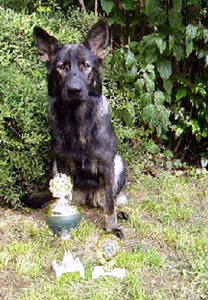 ausstellung neunkirchen 040gr_s ausstellung neunkirchen 040gr_s