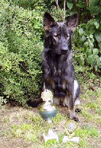 ausstellung neunkirchen 041gr_s ausstellung neunkirchen 041gr_s