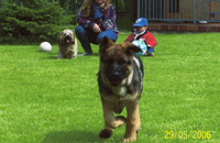 ramses20060529_2s ramses20060529_2s