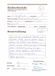 richterbericht queen_s richterbericht queen_s